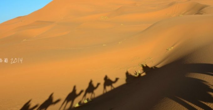 西非里 * 直洛葡 - 撒哈拉沙漠 Sahara Desert Tour II