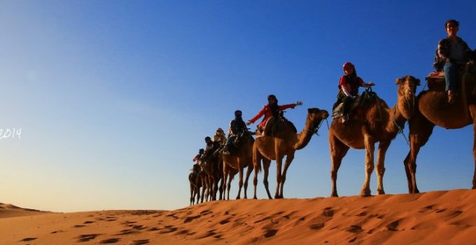 西非里‧直洛葡  ~ 喜飛喇~