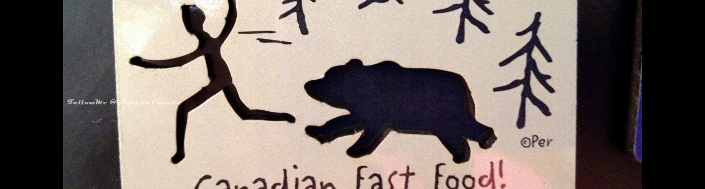 追蹤加鄉的北極光 - 溫哥華 Vancouver II