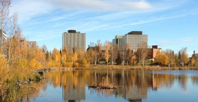 追蹤加鄉的北極光 - 黃刀 Yellowknife I