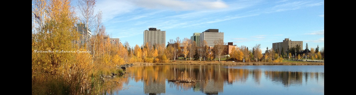 追蹤加鄉的北極光 - 黃刀 Yellowknife III