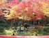 【京都紅葉之旅】最美的圓光寺．畫般的詩仙堂