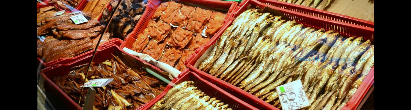 復活節繽芬波羅遊 x 11