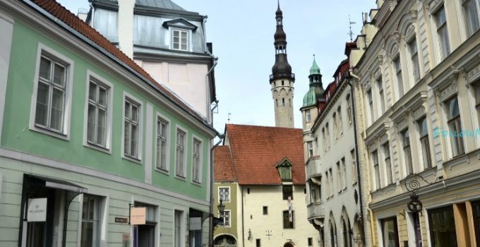 復活節繽芬波羅遊 x 9