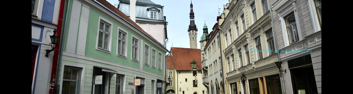 復活節繽芬波羅遊 x 9