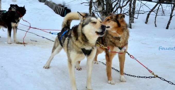 復活節繽芬波羅遊 x 6