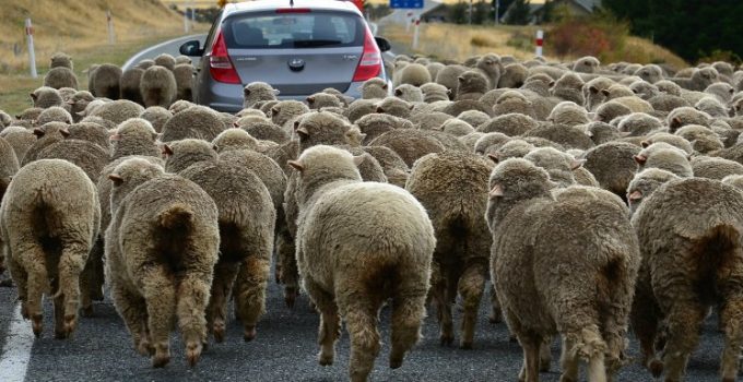 新西蘭奇異自駕遊 - 西海岸 West Coast