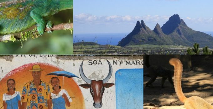 馬達加斯加 夢幻島國 (序)