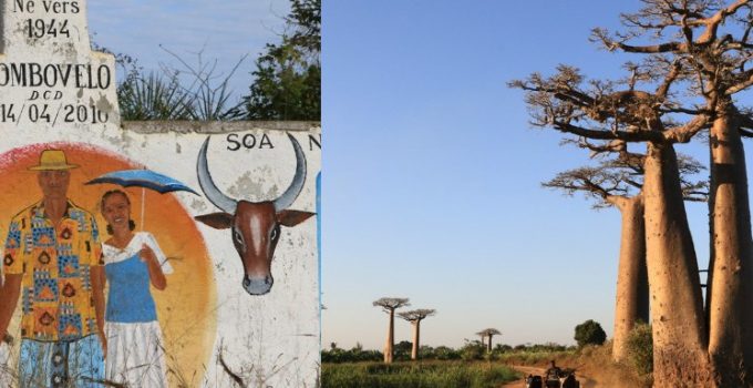 馬達加斯加 夢幻島國 D9 (上)