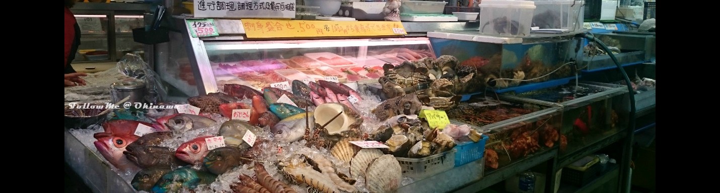 沖繩好玩駕 Okinawa GoGo 3