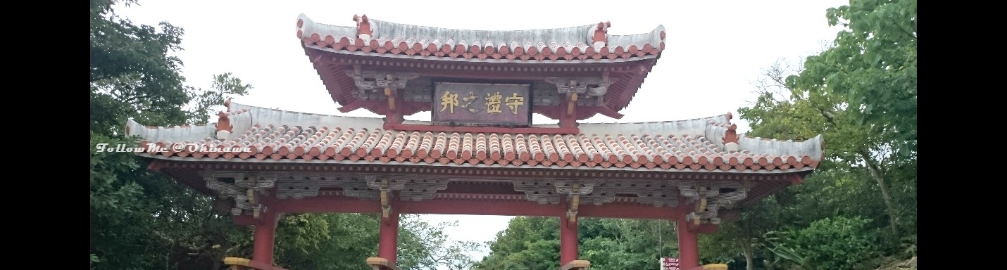 沖繩好玩駕 Okinawa GoGo 5