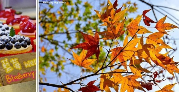 【台北】亞尼克夢想村‧陽明山新景點! 出遊首選! (Part I)