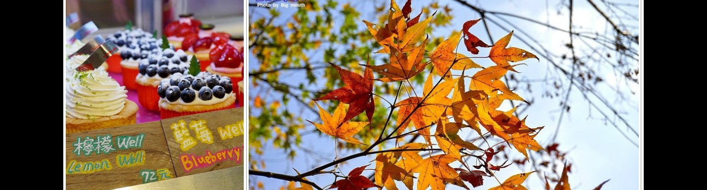 【台北】亞尼克夢想村‧陽明山新景點! 出遊首選! (Part II)