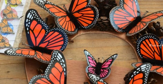 浪蕩中美好時光 Cuba & MexiCool Holiday 29