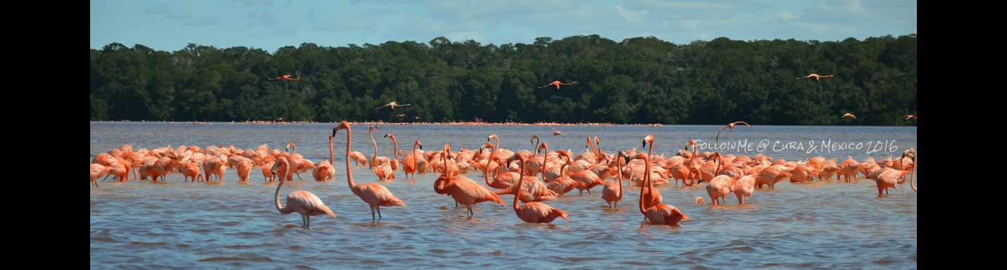 浪蕩中美好時光 Cuba & MexiCool Holiday 14
