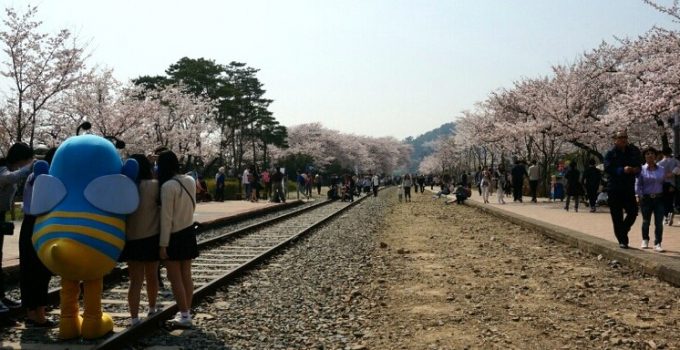 釜山賞櫻 - 鎮海軍港節 2016 - 慶和車站