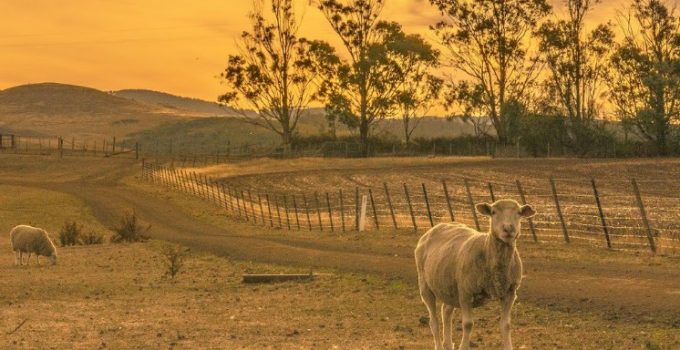新裝獨立屋 Curringa farm 享現代化農莊樂