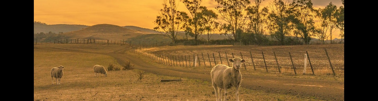 新裝獨立屋 Curringa farm 享現代化農莊樂