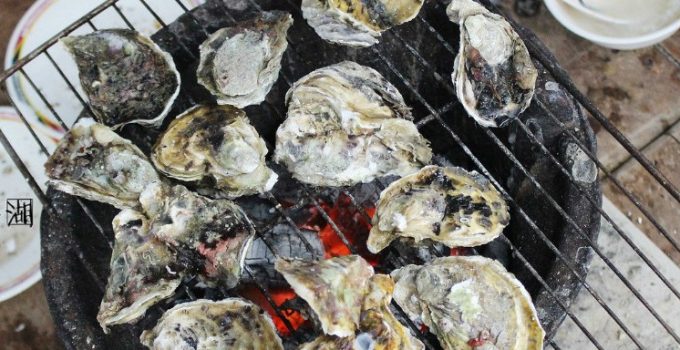 【澎湖三天兩夜旅遊】鮮蚵吃到飽，澎湖旅遊海上牧場-和慶半潛艇，澎湖好好玩之溜花枝