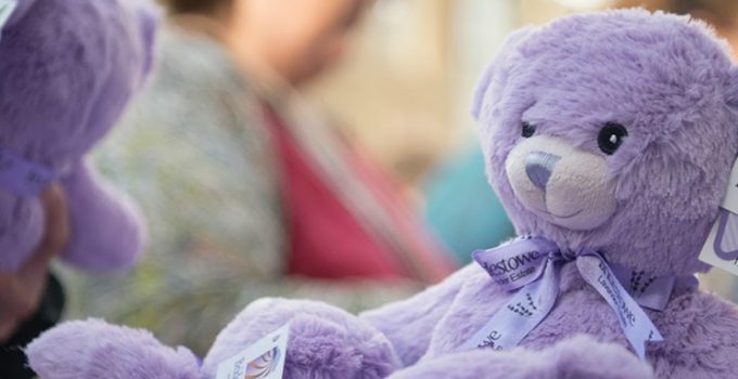 獨家！直闖塔斯曼尼亞薰衣草熊工場 農莊摘鮮果