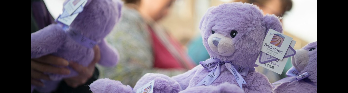 獨家！直闖塔斯曼尼亞薰衣草熊工場 農莊摘鮮果