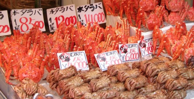 日本北海道自駕遊 | Day 8