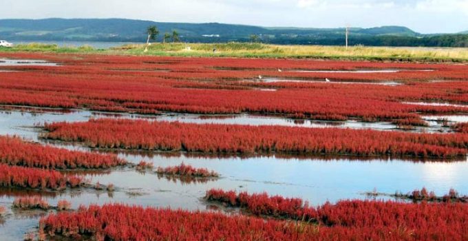 日本北海道自駕遊 | Day 5