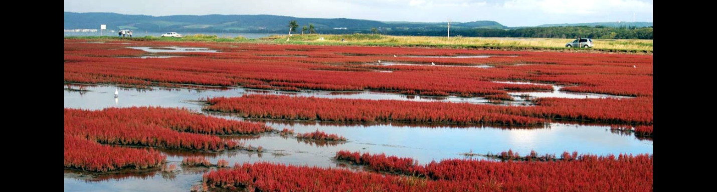 日本北海道自駕遊 | Day 5