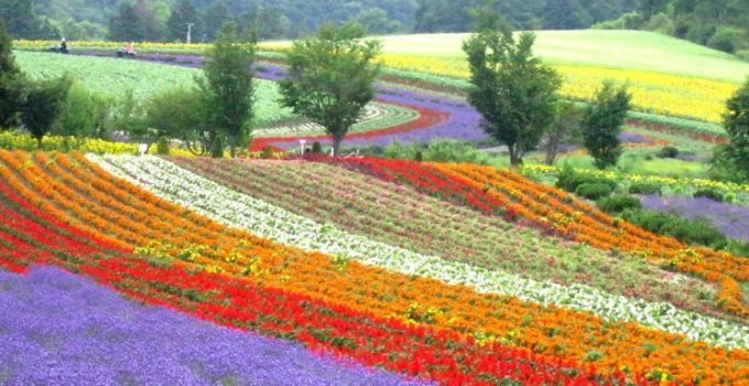 日本北海道自駕遊 | Day 2