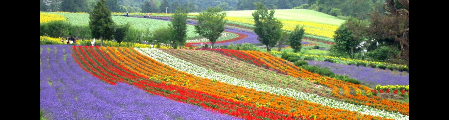 日本北海道自駕遊 | Day 2