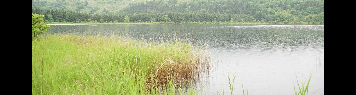 北海道美味海膽自駕遊之旅：第四天（利尻）