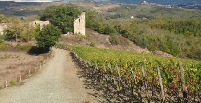 【法國自由行】Nice尼斯: 走過新舊老城, 蔚藍海岸邊市集Cours Saleya