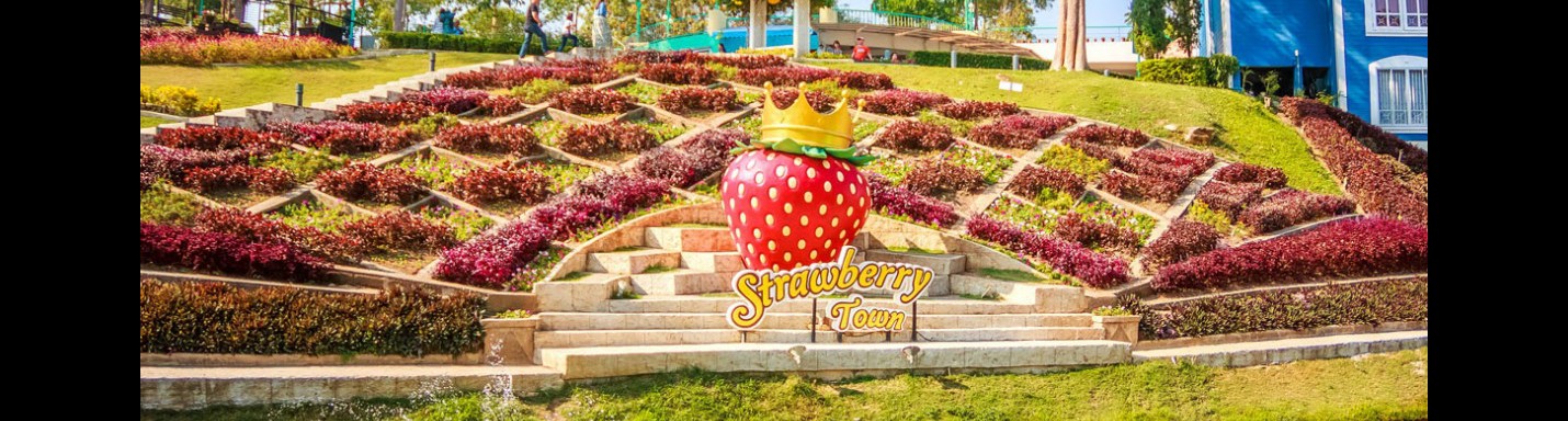 羅勇的士多啤梨鎮Strawberry Town