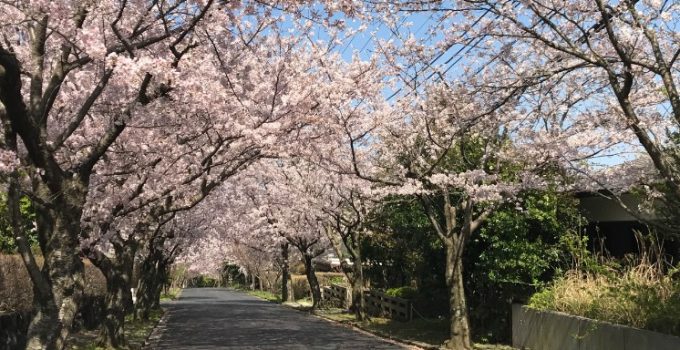東京近郊天堂~必試伊豆溫泉!