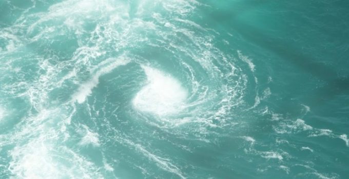 【四國自駕遊】大阪到德島 鳴門漩渦 鯛魚刺身 東大拉麵本店 一鴻骨付雞 麵王