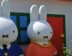 原來荷蘭 Miffy 兔可以同泰國咁夾！