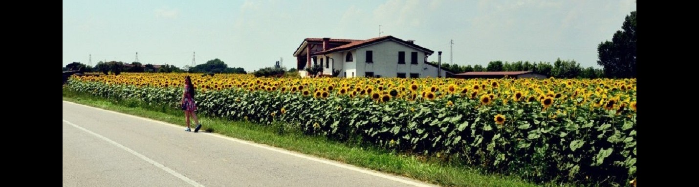 盛夏！意大利北部田園小旅程！尋找向日葵！