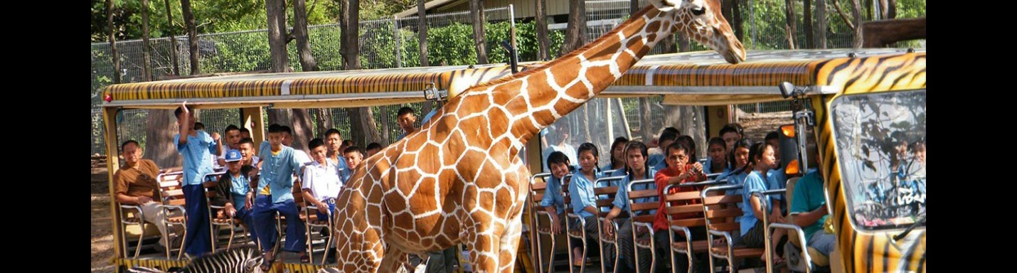 清邁另類夜生活 動物全接觸 - Night Safari
