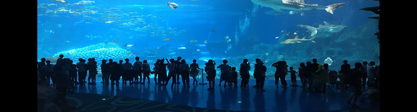 兩日一夜hea遊橫琴長隆 (「食」「住」「玩」篇)