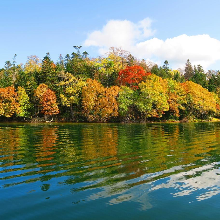 北海道紅葉 賞楓預報 5大必去北海道紅葉景點 永安旅遊