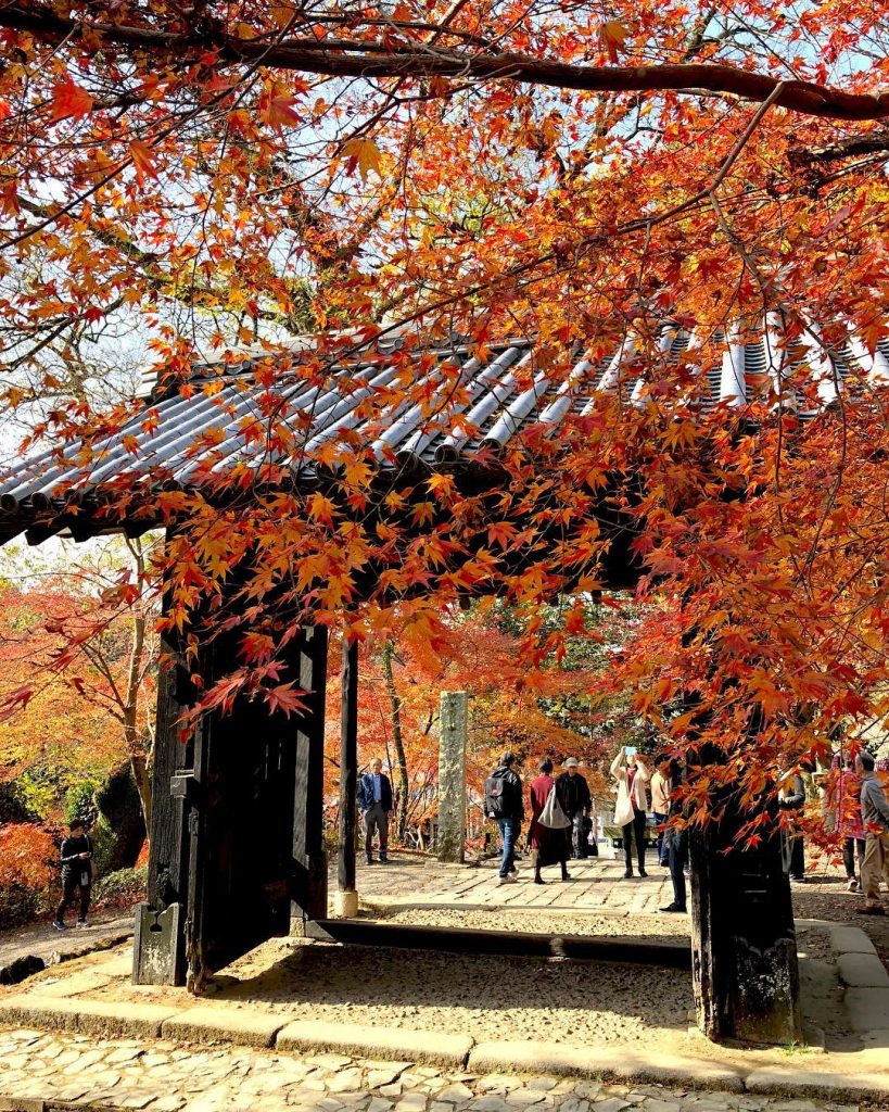 九州紅葉 | 福岡秋月城跡