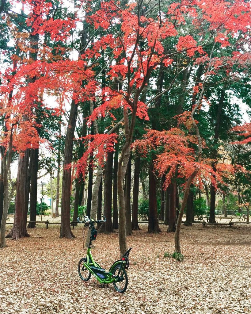 【東京紅葉2024】東京紅葉必去景點攻略!嚴選7大東京紅葉人氣景點 飽覽和風紅葉美景 東京紅葉 | 井之頭恩賜公園