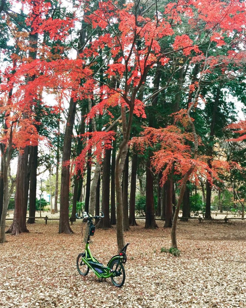 東京紅葉 | 井之頭恩賜公園