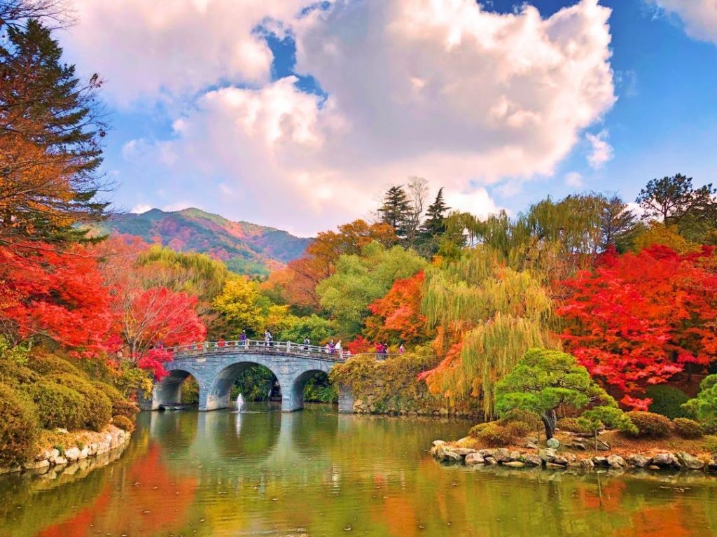 【釜山紅葉2024】釜山紅葉打卡秘景!一文看盡5大釜山賞楓勝地 浪漫同遊賞楓盡在釜山 釜山紅葉 | 佛國寺