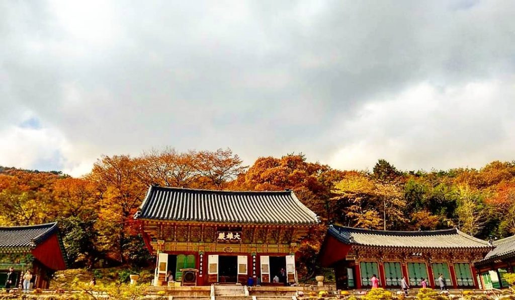 釜山紅葉 | 金井山梵魚寺