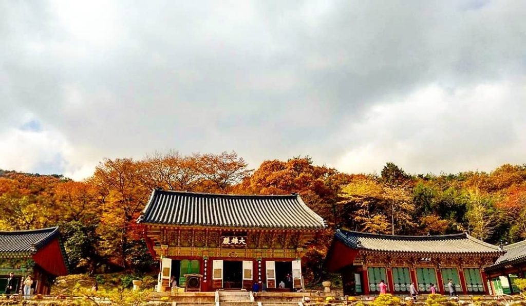 【釜山紅葉2024】釜山紅葉打卡秘景!一文看盡5大釜山賞楓勝地 浪漫同遊賞楓盡在釜山 釜山紅葉 | 金井山梵魚寺