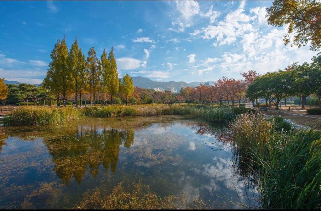 釜山紅葉 | 金海蓮池公園