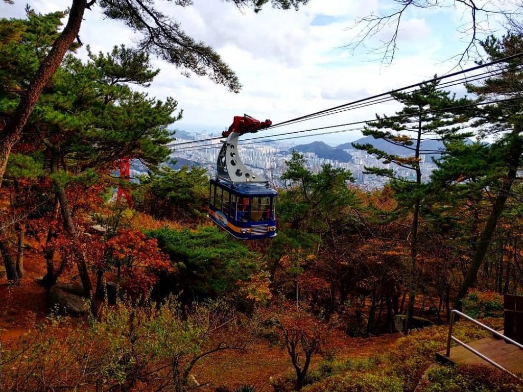 釜山紅葉 | 金剛公園