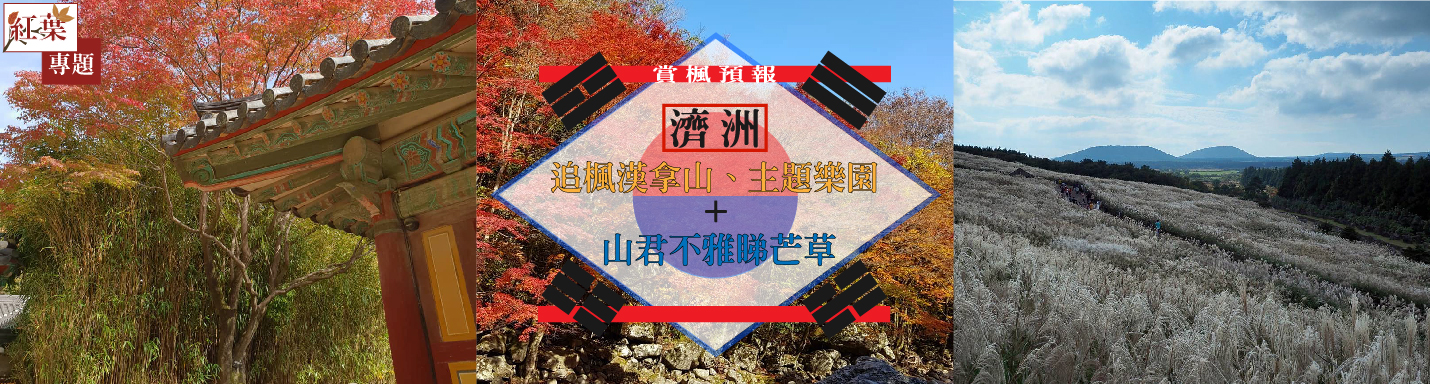 韓國濟州紅葉2019
