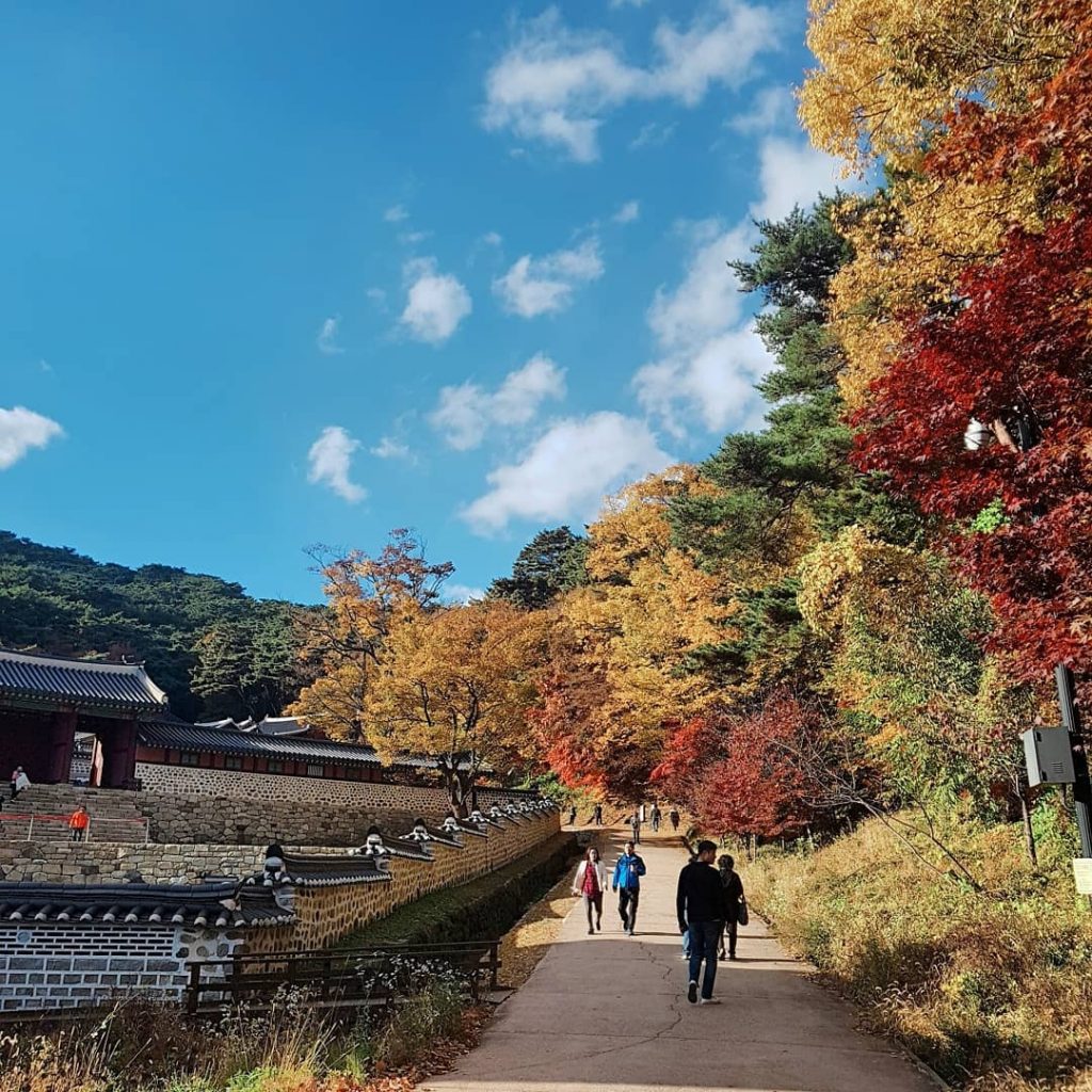 【首爾紅葉2024】首爾紅葉人氣景點!絕美6大首爾迷人賞楓熱點 賞盡韓風紅葉美景 首爾紅葉 | 京畿道南漢山城